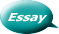 Essay 